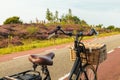 Electric black cargo bicycle with basket in front of the Veluwe